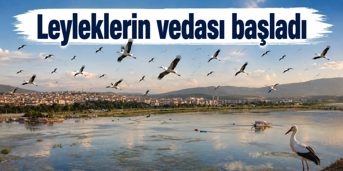 G&ouml;&ccedil; yolundaki leylek s&uuml;r&uuml;leri Beyşehir&rsquo;de