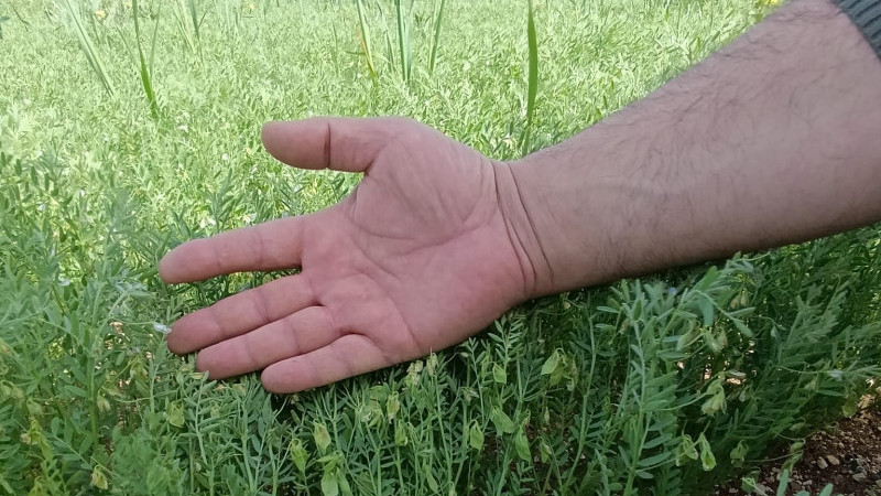 Beyşehir&rsquo;in bir lezzeti daha d&uuml;nyanın lezzet gemisine bindi