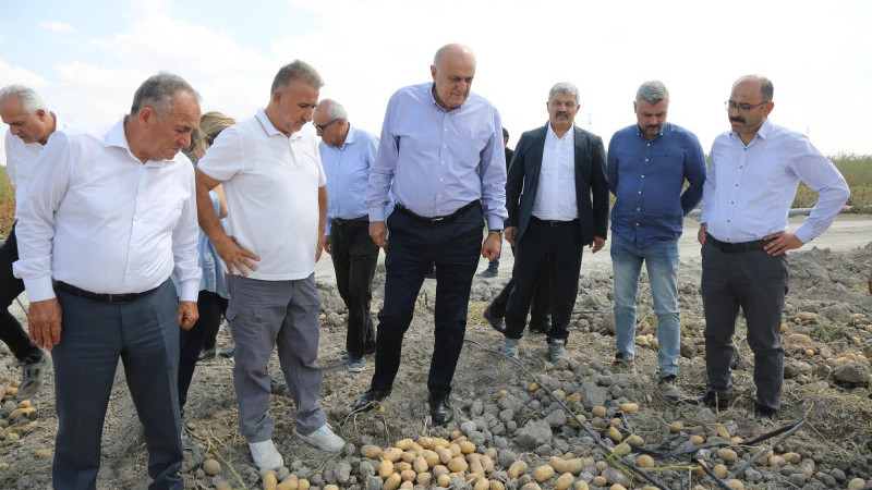 Konya Şeker, 2027&rsquo;de patates tohumunun tamamını kendi tesislerinde &uuml;retecek