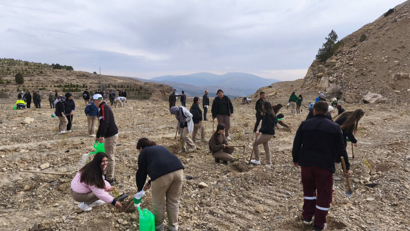 H&uuml;y&uuml;k yeşile b&uuml;r&uuml;necek