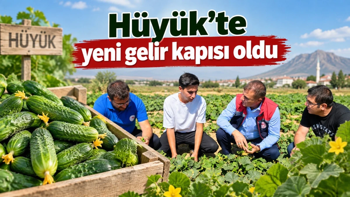 H&uuml;y&uuml;k&rsquo;te &ccedil;ilekten sonra kornişon &ccedil;ift&ccedil;inin yeni umudu