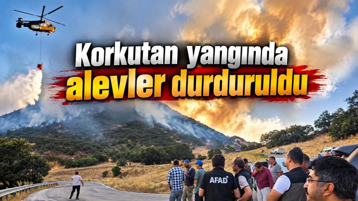 Karadan ve havadan m&uuml;dahale, yangın kontrol altında