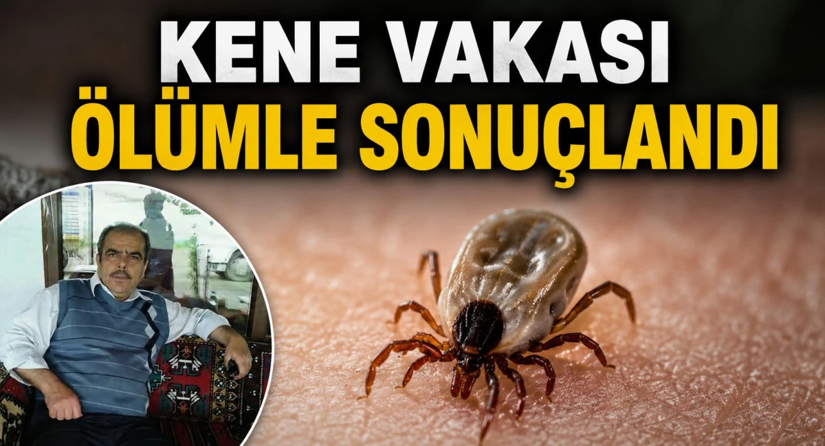Kene kabusu Beyşehir&rsquo;e sı&ccedil;radı