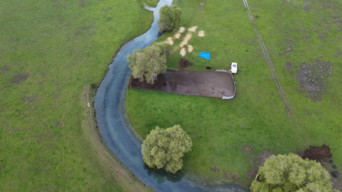 Kuşların cenneti yeniden canlandı