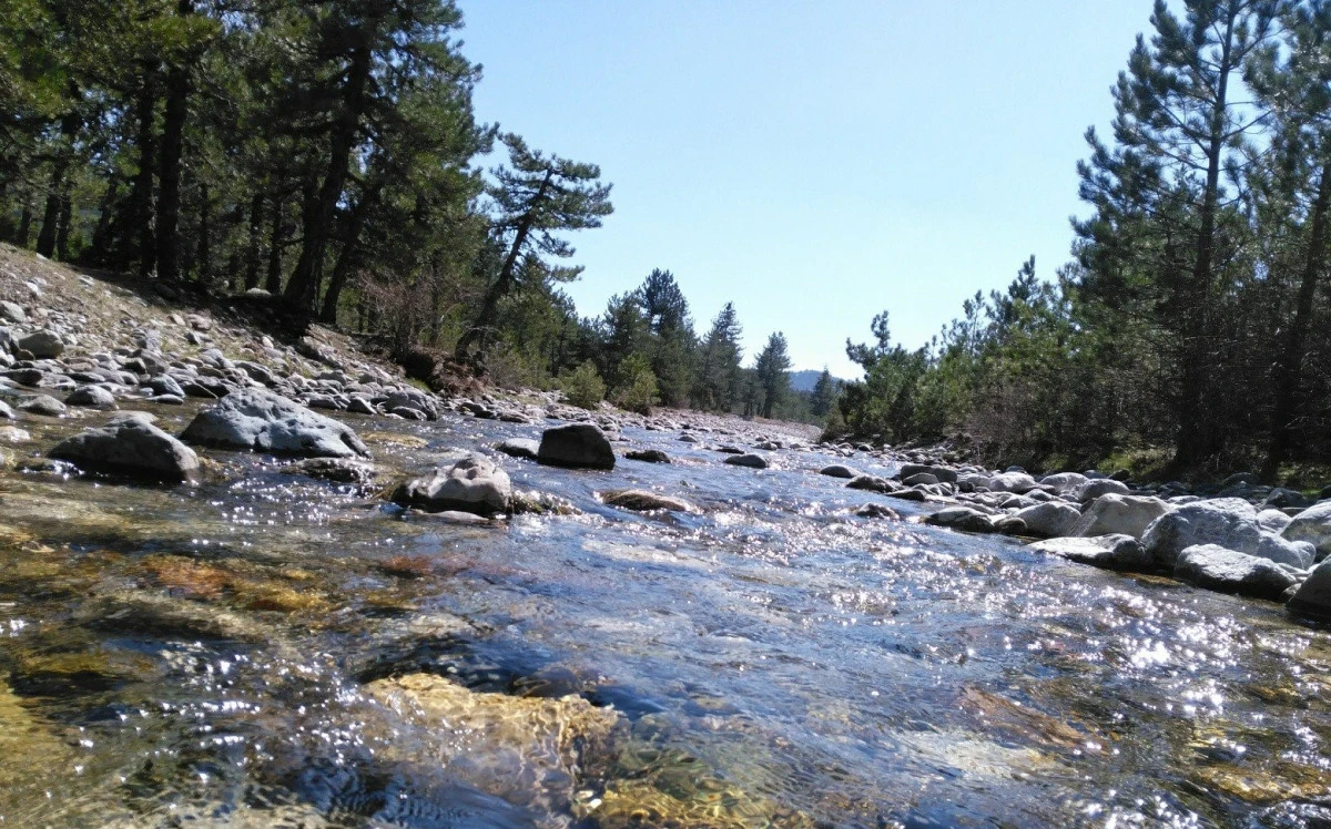 Kuttusi Demir Uyardı: &ldquo;Bahar yağışları hayati &ouml;nemde&rdquo;