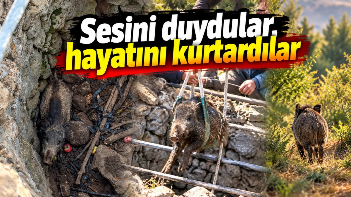 Kuyuda mahsur kaldı, yeniden &ouml;zg&uuml;rl&uuml;ğ&uuml;ne kavuştu