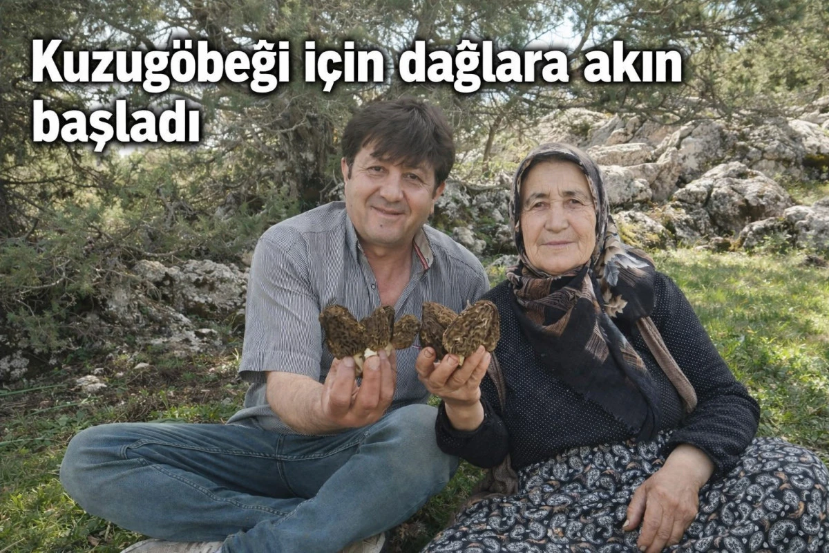 Kuzug&ouml;beği tutkunları sahaya &ccedil;ıktı