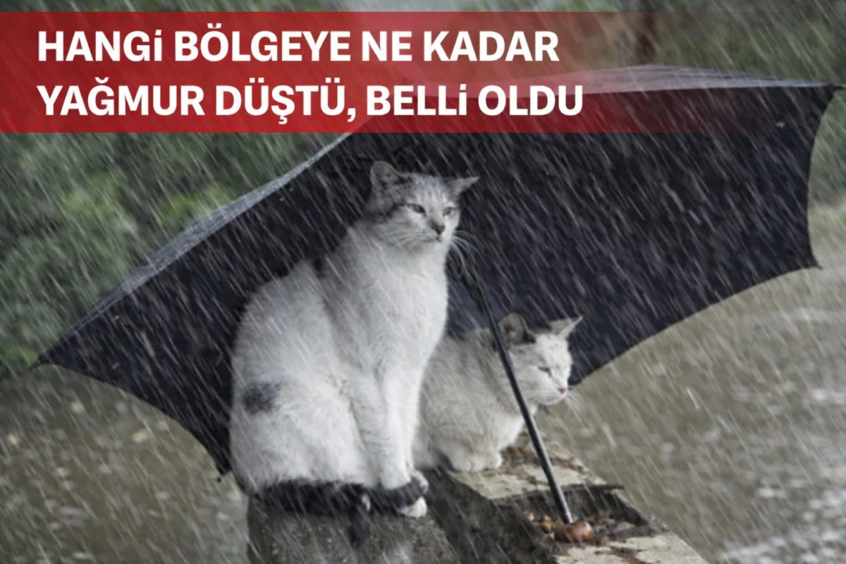 Nisan yağışları y&uuml;z g&uuml;ld&uuml;rd&uuml;! İşte il&ccedil;e il&ccedil;e yağış durumu