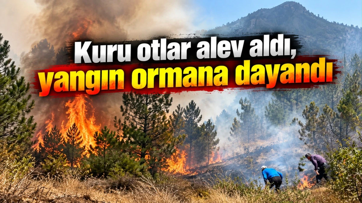 Ormana sı&ccedil;rayan yangın b&uuml;y&uuml;meden kontrol altına alındı