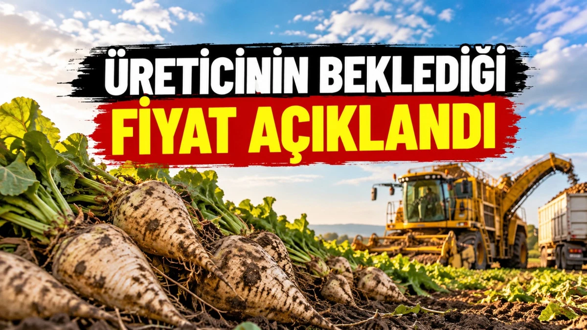 Pancarda Ton Fiyatı 3.720 TL Oldu!