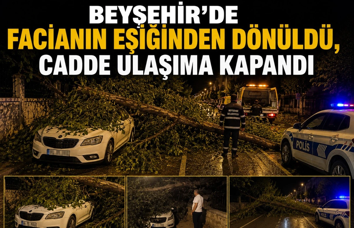 Park halindeki otomobilin &uuml;zerine ağa&ccedil; devrildi