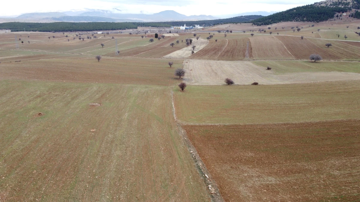 Prof.Dr.Soylu: &ldquo;Hububatta &ccedil;ok sıkıntı olacağını d&uuml;ş&uuml;nm&uuml;yoruz&rdquo;