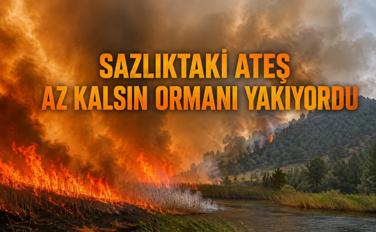 Sazlıkta başlayan yangın ormana sı&ccedil;radı! Bah&ccedil;eler alevlerden son anda kurtuldu