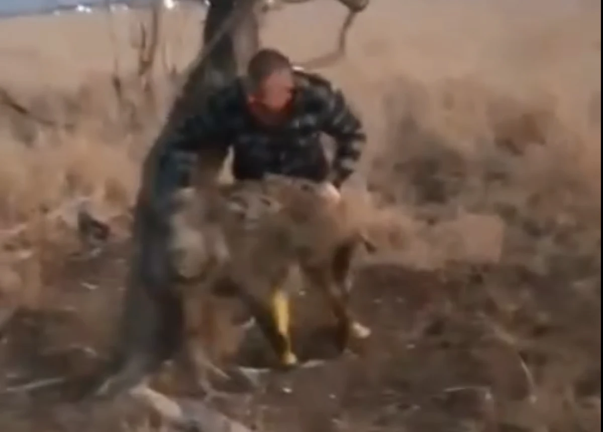 Soğla&rsquo;da nefes kesen anlar!