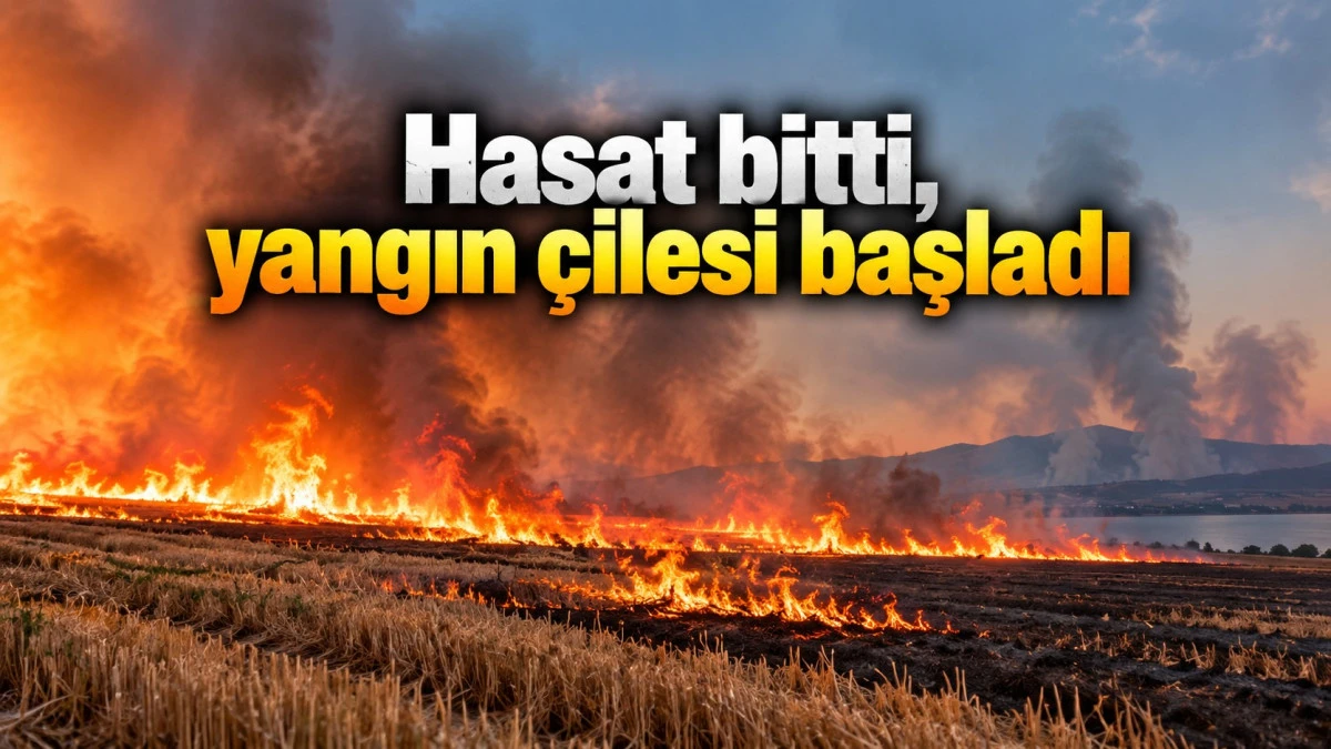 Tarlalar alev alev! Anız yangınları geceyi aydınlattı