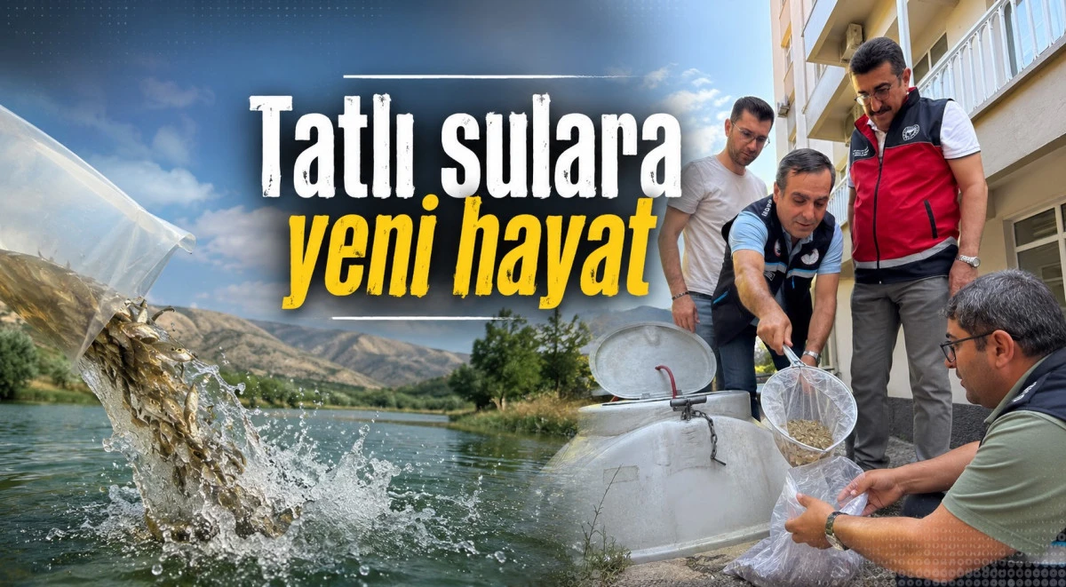 Tatlı su kaynaklarına yavru balık dopingi