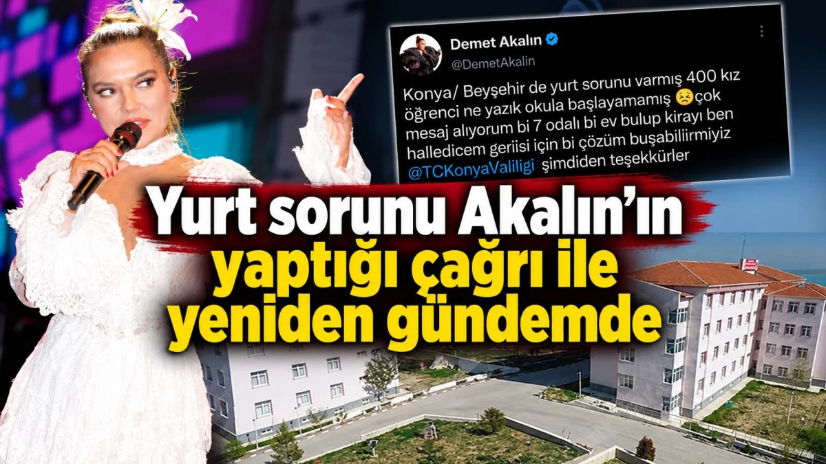 &Uuml;nl&uuml; sanat&ccedil;ıdan Beyşehir i&ccedil;in dikkat &ccedil;eken teklif