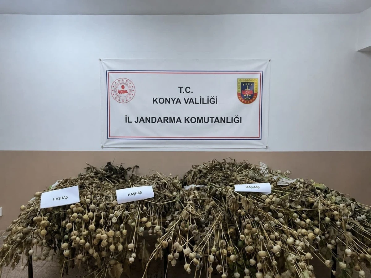 Uyuşturucu Operasyonlarında &Ccedil;ok Sayıda Madde Ele Ge&ccedil;irildi