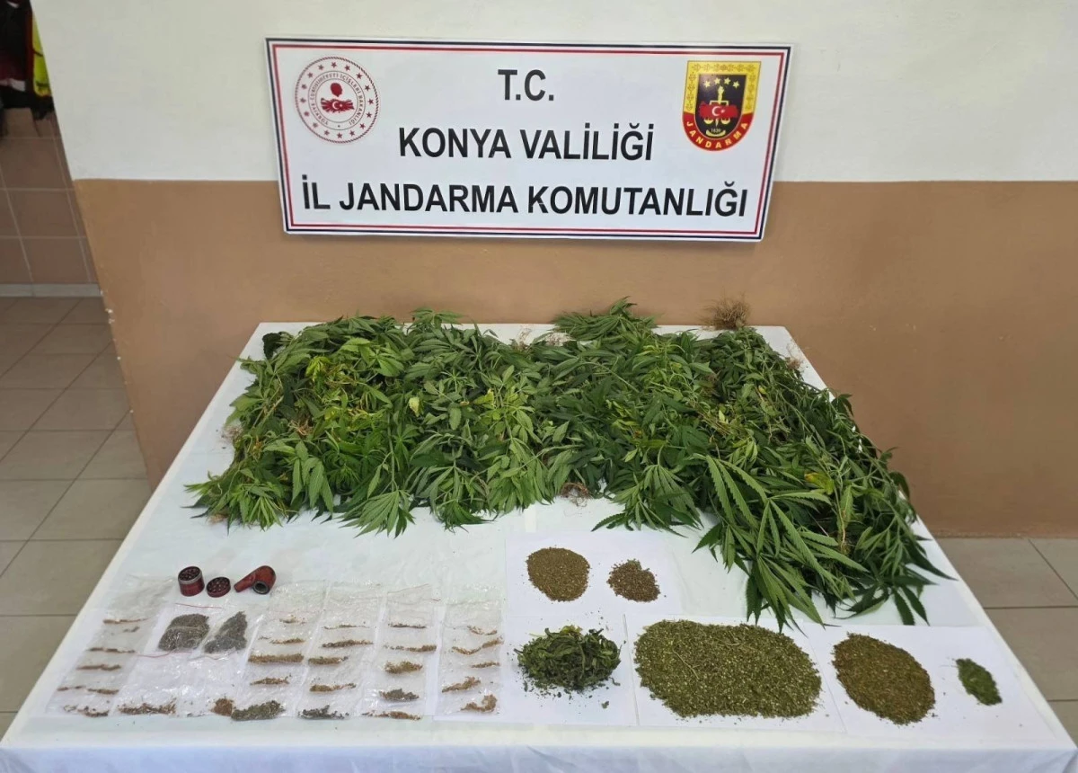 Uyuşturucuya jandarma darbesi! 9 kişi tutuklandı