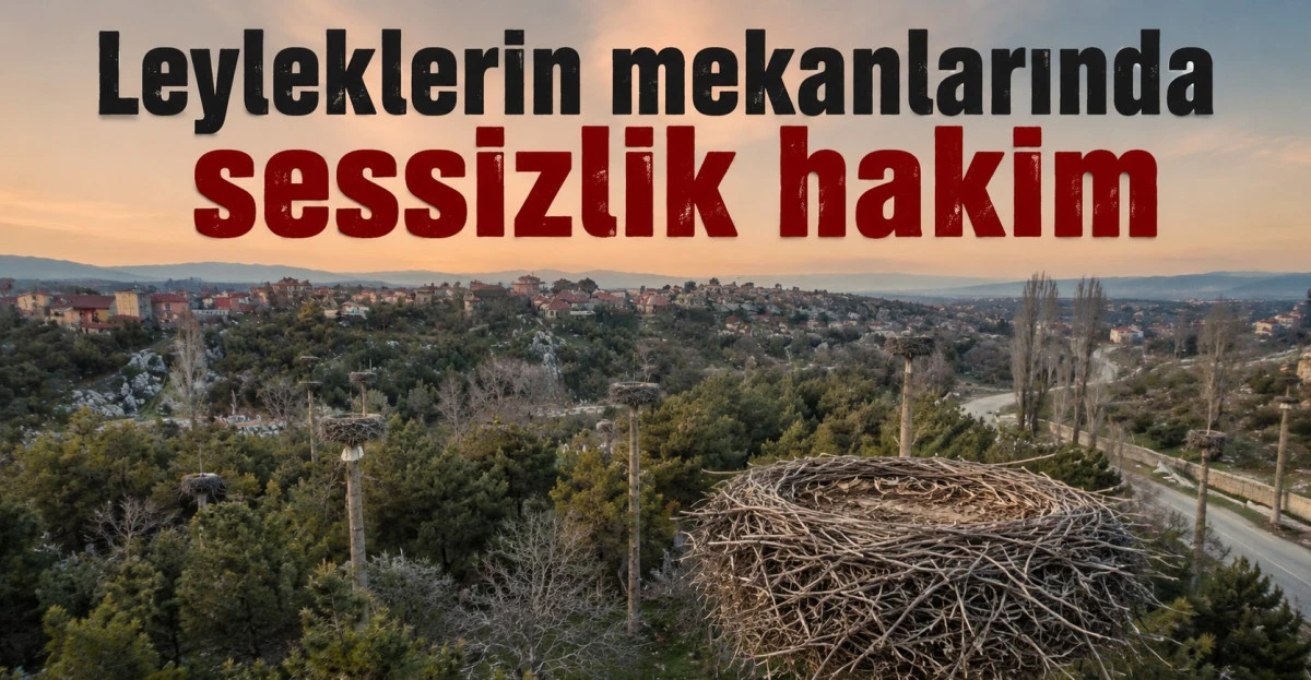 Vadide &ldquo;lak lak&rdquo; sesleri kesildi