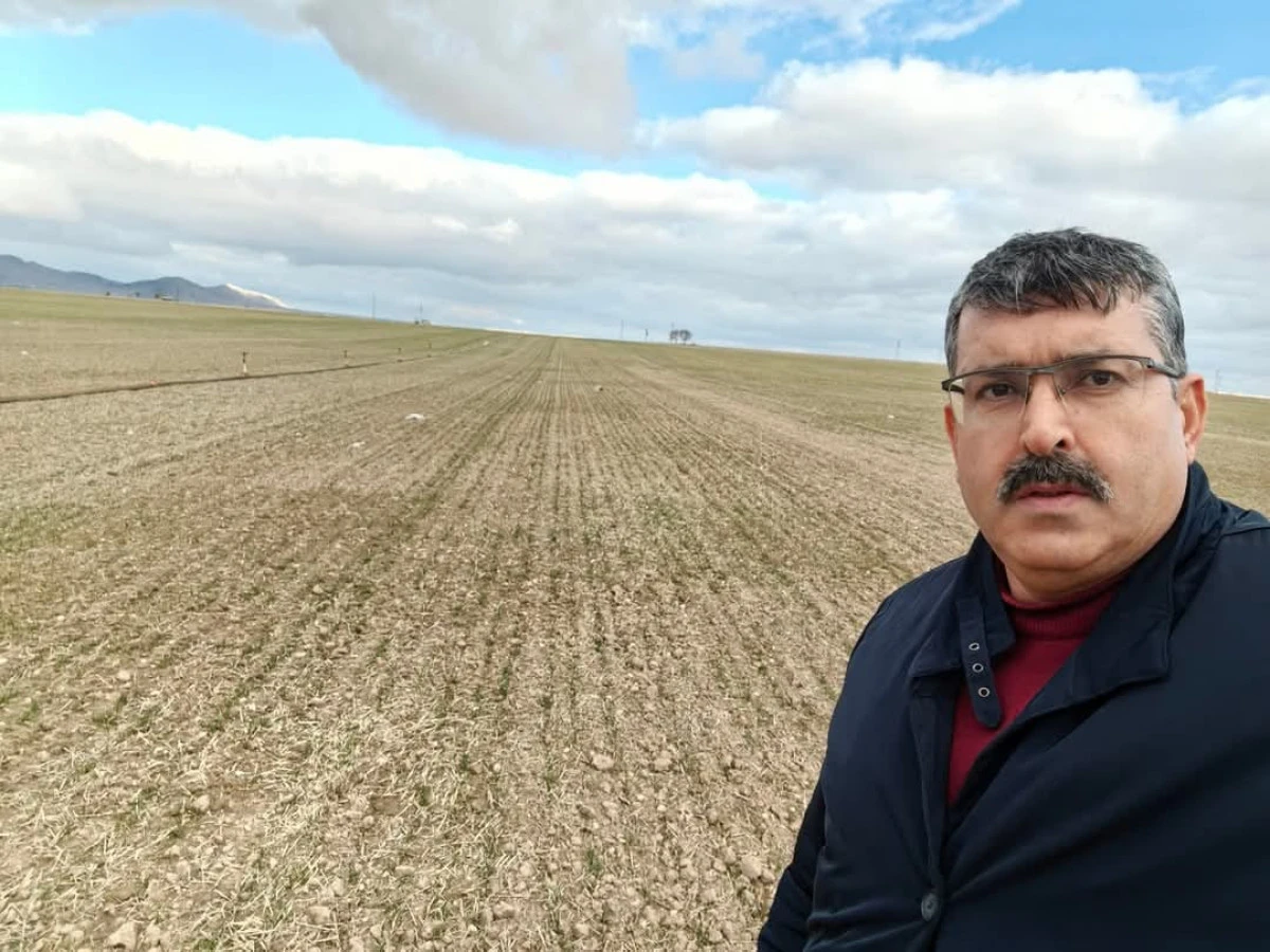 Yağışlar kıra&ccedil; arazilere de can verdi