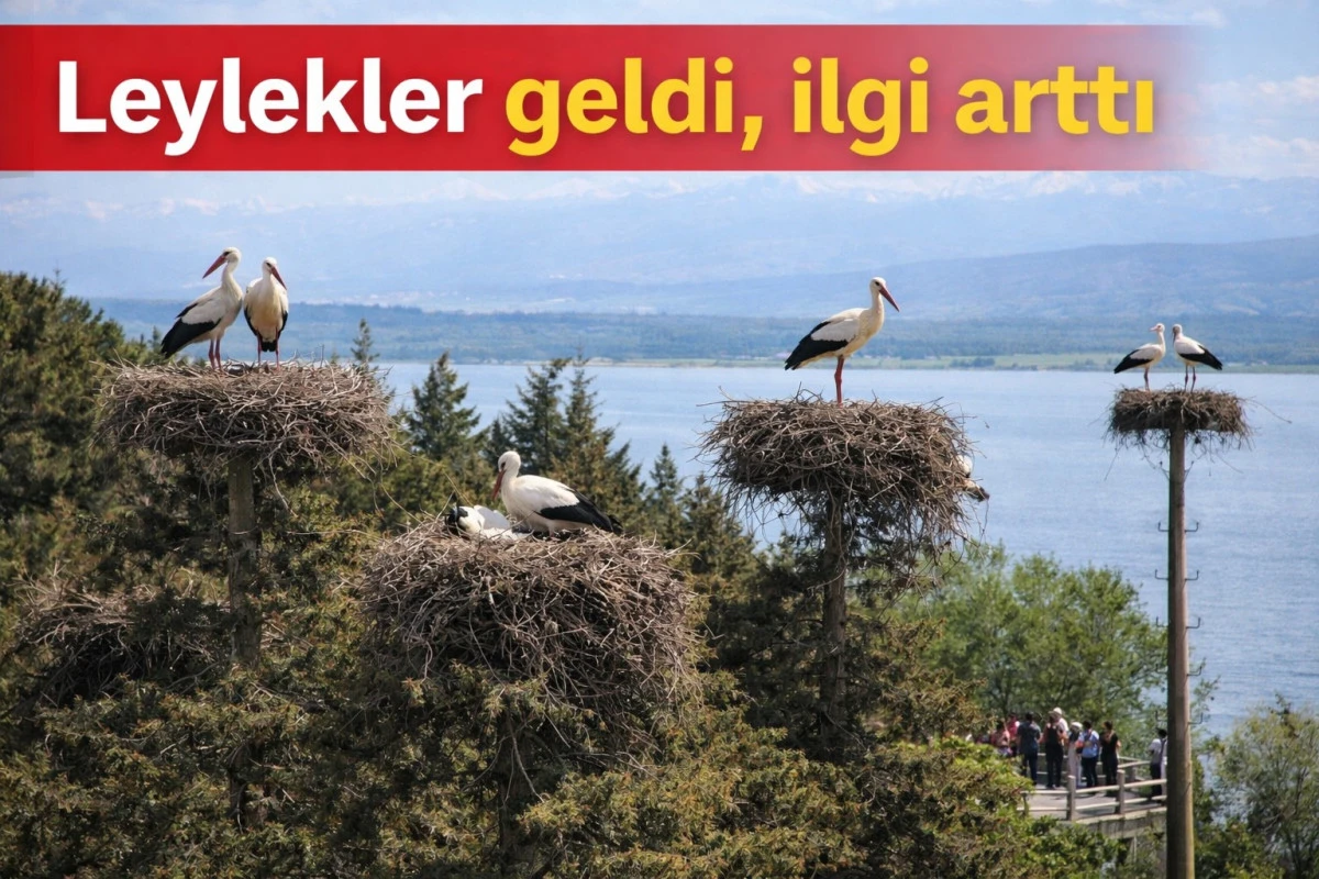 Yuvalar şenlendi, vadi canlandı