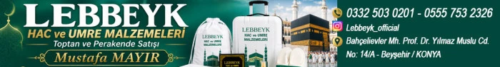 lebbyk web haber detay