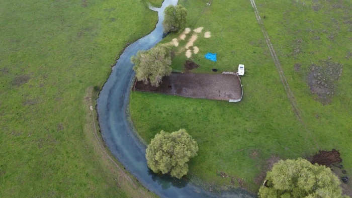 Kuşların cenneti yeniden canlandı